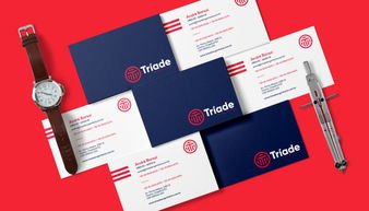 專業(yè)塑造信任 Triade工業(yè)品檢測(cè)企業(yè)品牌VI形象設(shè)計(jì)與企業(yè)形象策劃